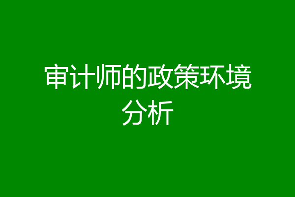 审计师的政策环境分析