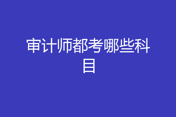 审计师都考哪些科目