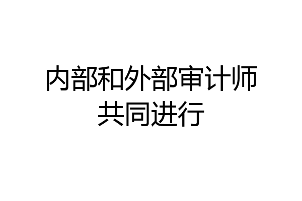 内部和外部审计师共同进行