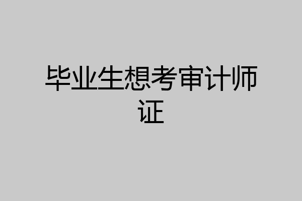 毕业生想考审计师证