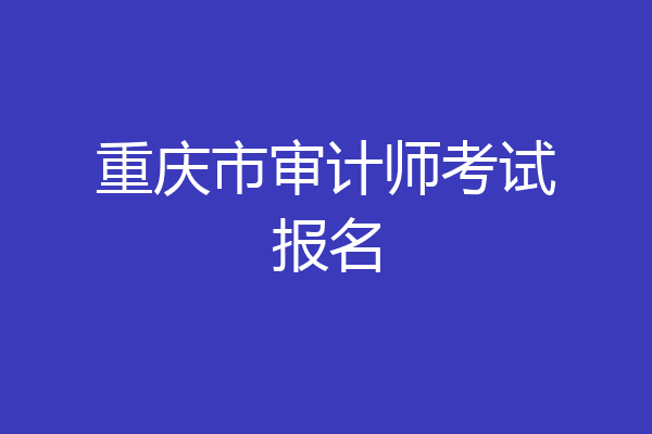 重庆市审计师考试报名