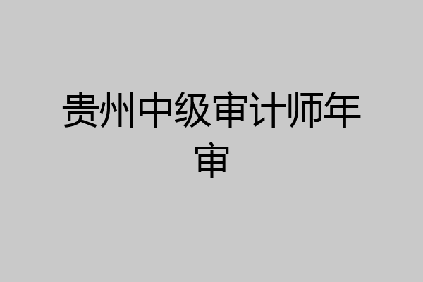 贵州中级审计师年审