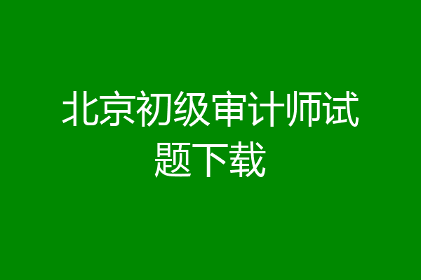 北京初级审计师试题下载