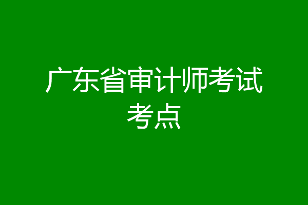 广东省审计师考试考点