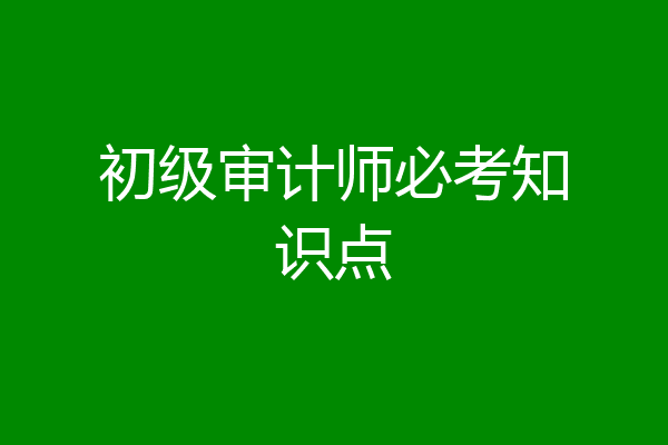 初级审计师必考知识点
