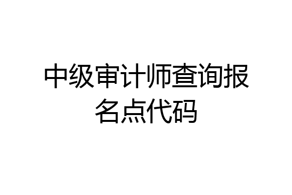 中级审计师查询报名点代码