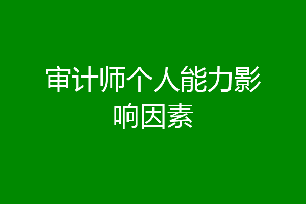 审计师个人能力影响因素