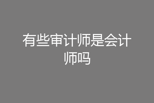 有些审计师是会计师吗
