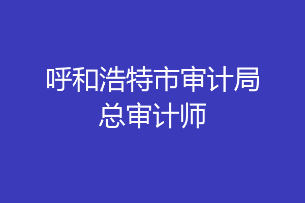 呼和浩特市审计局总审计师