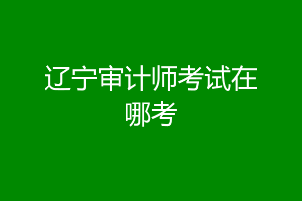 辽宁审计师考试在哪考
