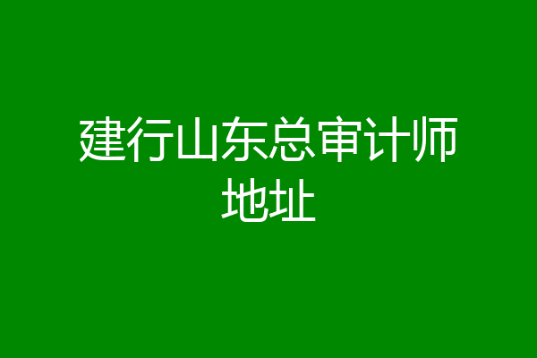 建行山东总审计师地址