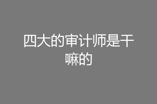 四大的审计师是干嘛的