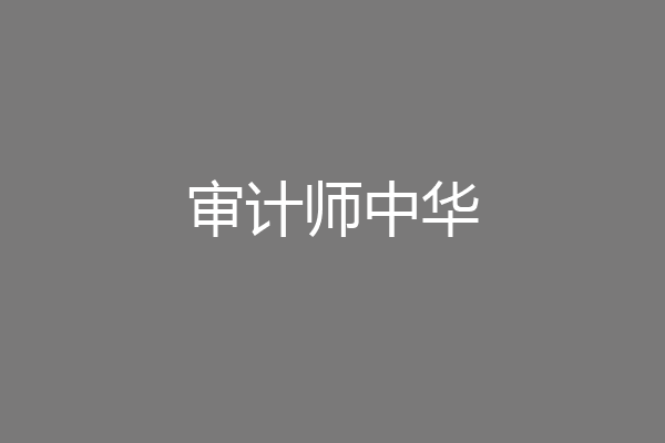 审计师中华