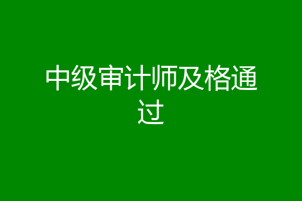 中级审计师及格通过