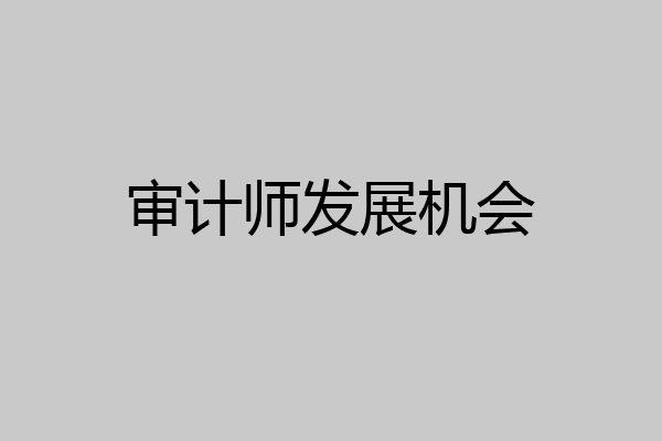审计师发展机会