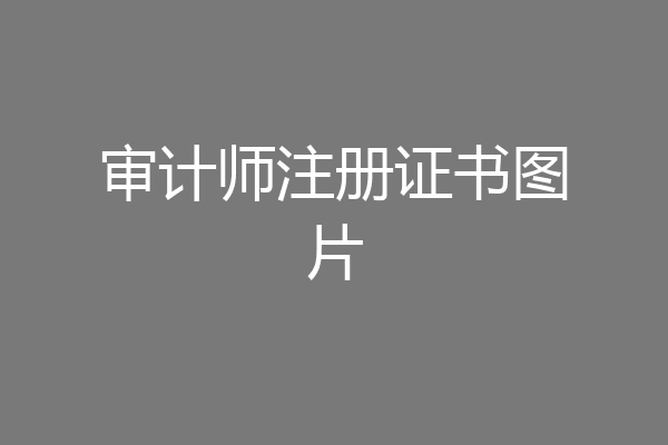 审计师注册证书图片