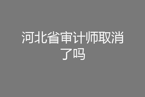 河北省审计师取消了吗