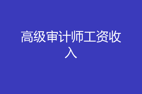 高级审计师工资收入