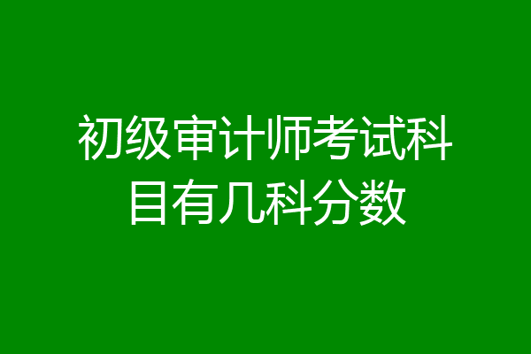 初级审计师考试科目有几科分数