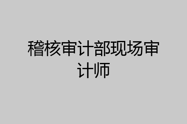稽核审计部现场审计师