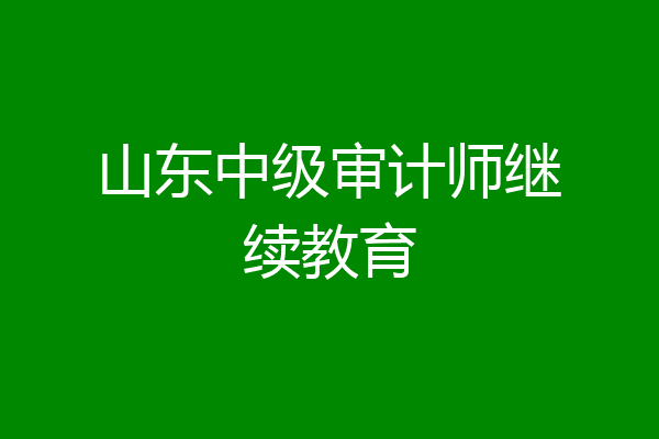 山东中级审计师继续教育