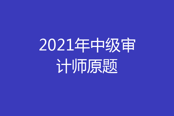 2021年中级审计师原题