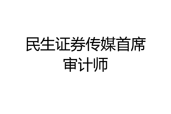 民生证券传媒首席审计师