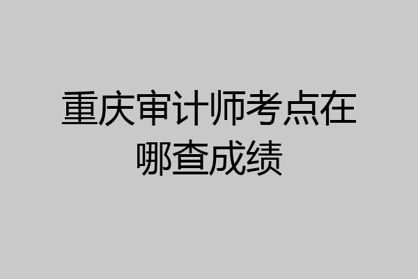 重庆审计师考点在哪查成绩
