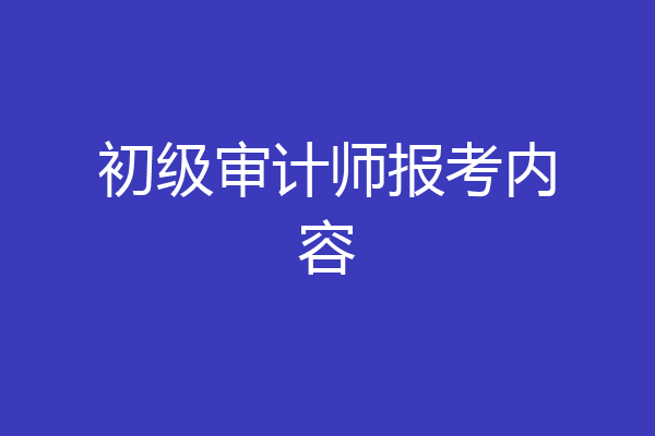 初级审计师报考内容