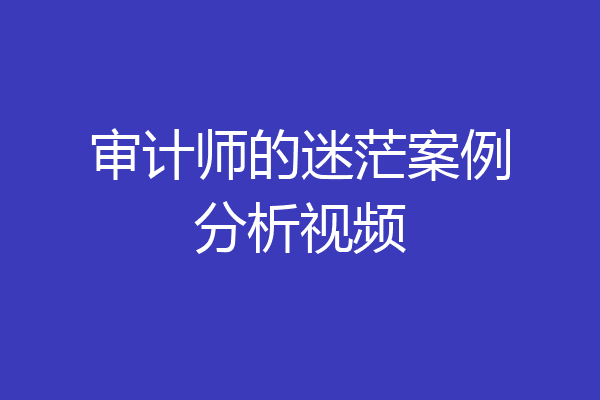 审计师的迷茫案例分析视频