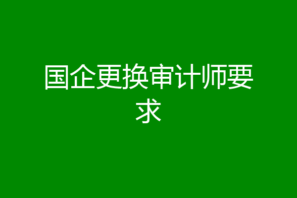 国企更换审计师要求