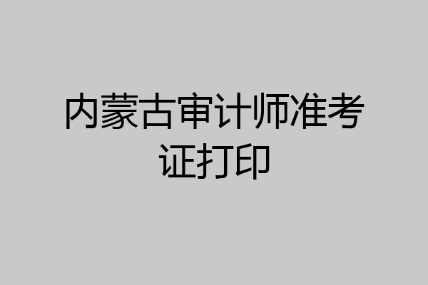 内蒙古审计师准考证打印
