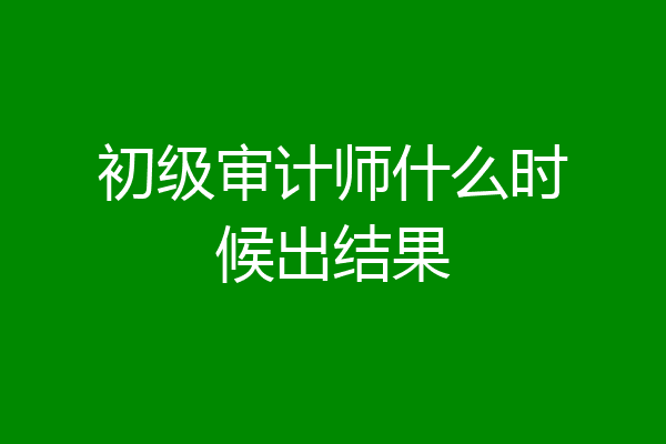 初级审计师什么时候出结果