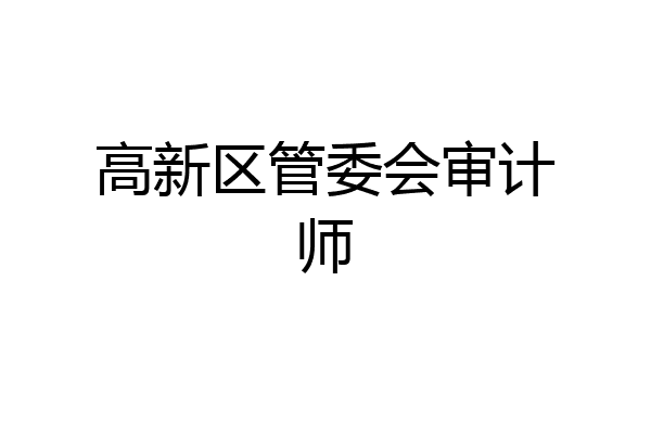 高新区管委会审计师