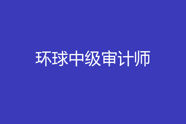 环球中级审计师