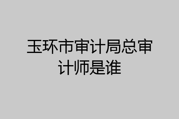玉环市审计局总审计师是谁
