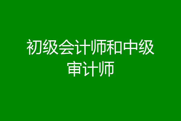 初级会计师和中级审计师