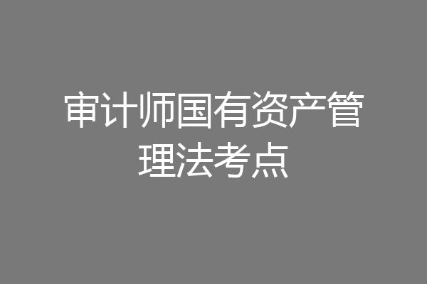 审计师国有资产管理法考点