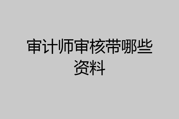 审计师审核带哪些资料