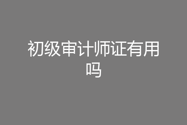 初级审计师证有用吗
