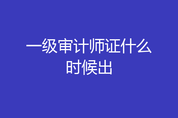 一级审计师证什么时候出