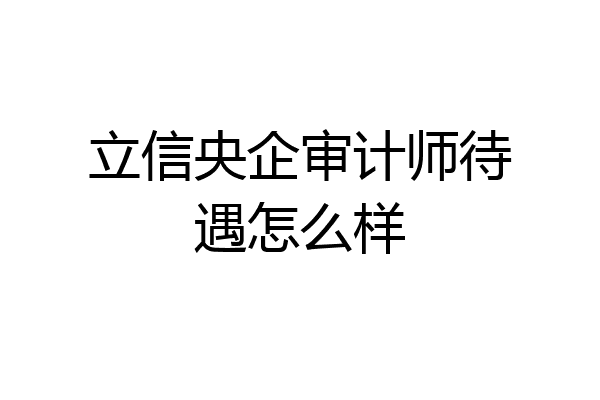 立信央企审计师待遇怎么样
