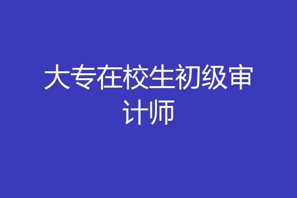 大专在校生初级审计师