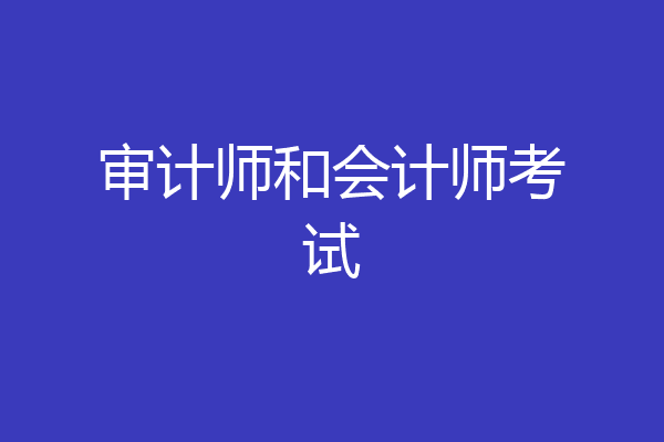 审计师和会计师考试