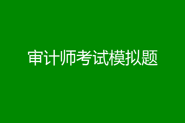 审计师考试模拟题