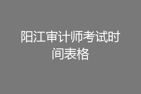 阳江审计师考试时间表格