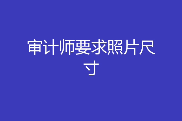 审计师要求照片尺寸