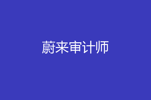 蔚来审计师
