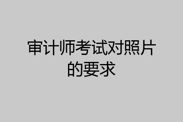 审计师考试对照片的要求