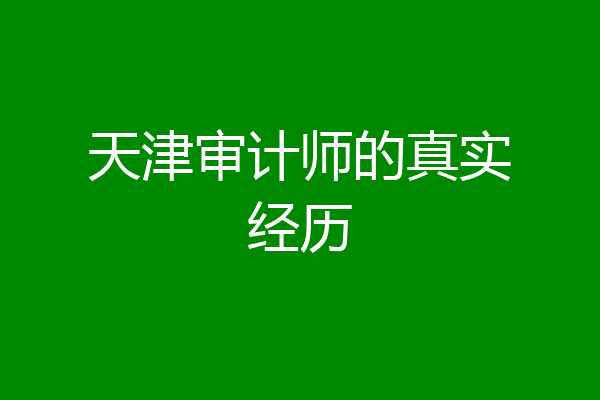 天津审计师的真实经历
